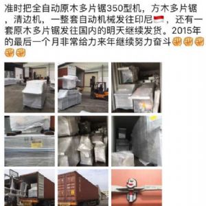 2017年發(fā)貨國(guó)外rn400-250型原木多片鋸生產(chǎn)線&nbsp;，鋸木機(jī)生產(chǎn)線