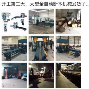 2017年發(fā)貨國(guó)內(nèi)250型原木斷木機(jī)生產(chǎn)線&nbsp;圓木截木機(jī)，鋸木機(jī)生